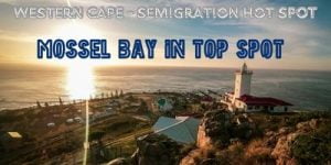 Read more about the article     MOSSEL BAY NEW MIGRATION HOTSPOT                    